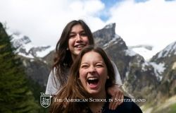 Gallery - 8