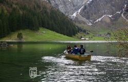 Gallery - 9