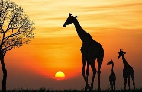 África do Sul